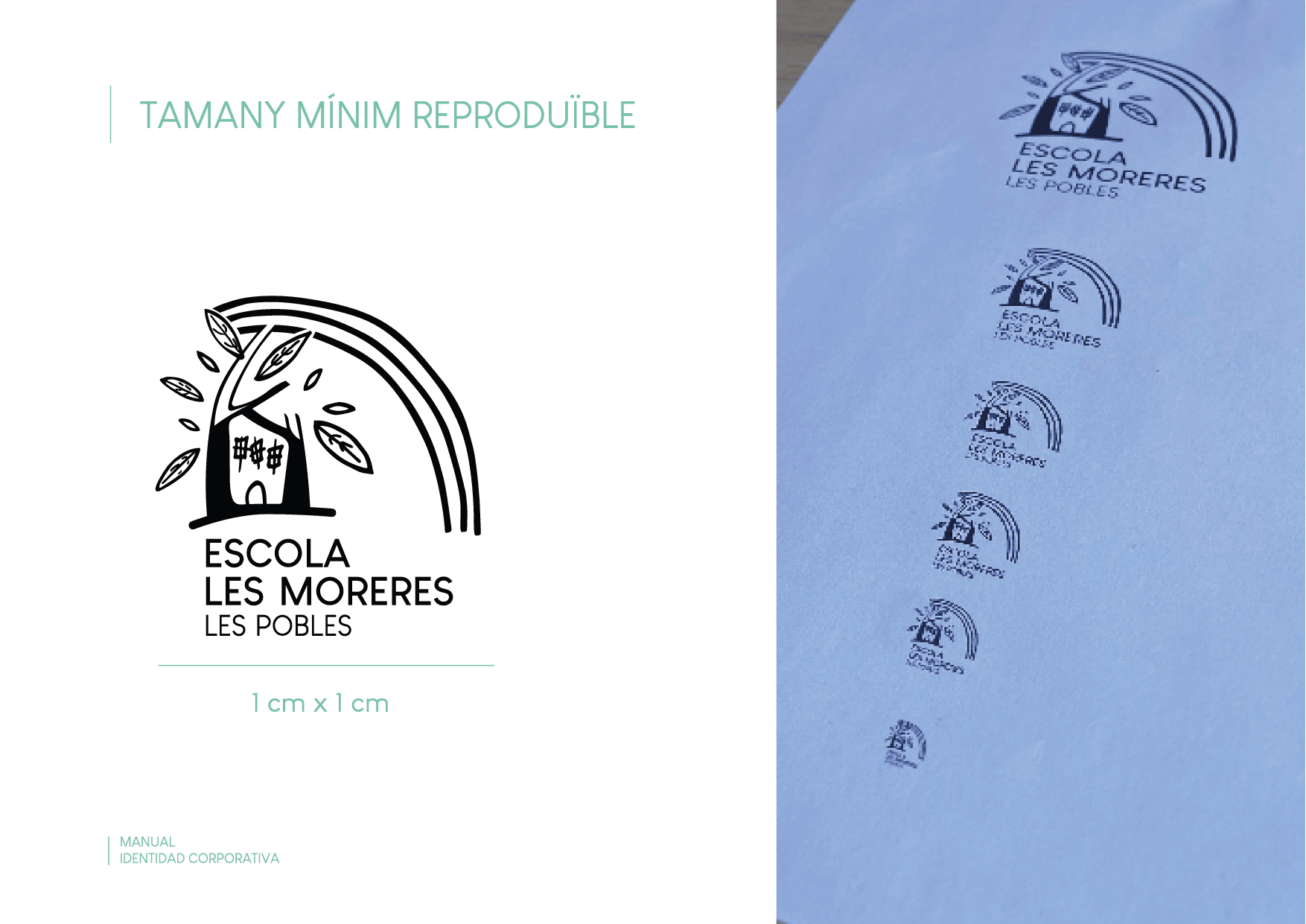 Proyecto 2